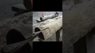 Puriri Log Harvesting and Splitting for Bowmaking #woodworking #wood