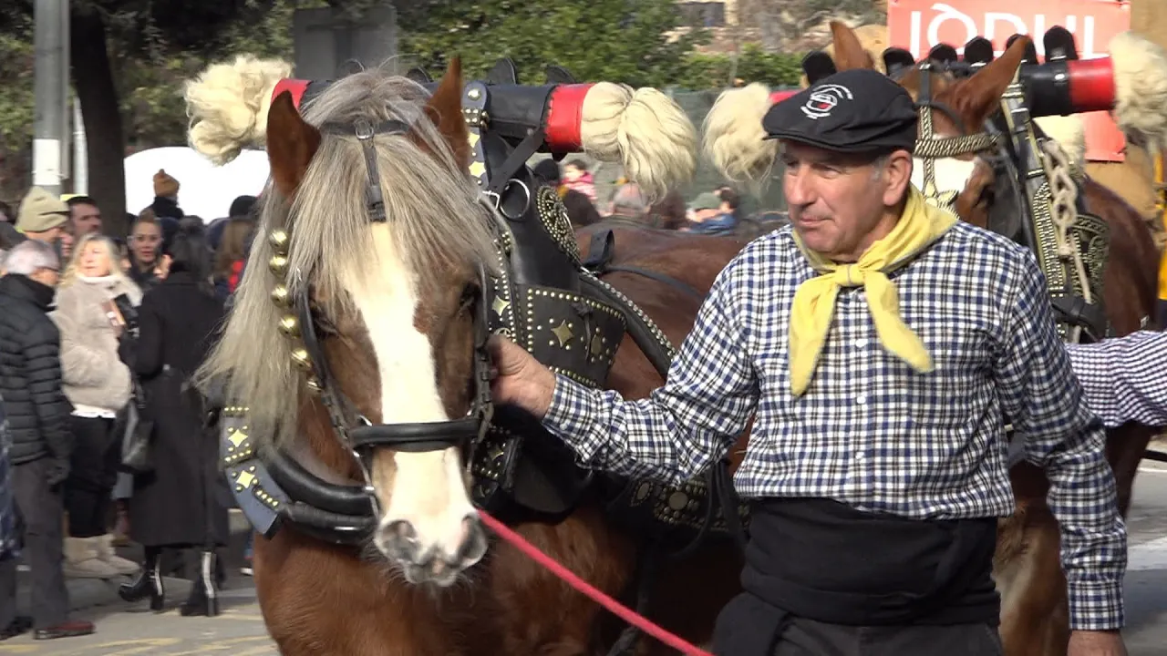 Taradell acull, a partir d’aquest divendres, la festa dels Tonis