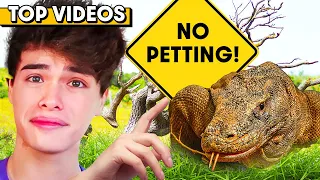 BREAKING THE CRAZIEST LAWS For 24 Hours **SHOCKING** | Stokes Twins