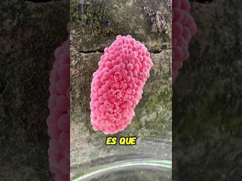 Lo que parecía cruel terminó siendo un acto necesario