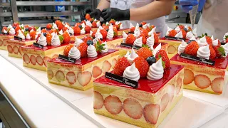 꾸덕한 크림과 딸기가 한가득! 떠먹는 프레지에 케이크 / How to make strawberry fraisier cake - Korean street food