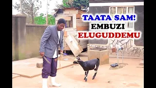 TAATA SAM  EMBUZI ELUGUDDEMU