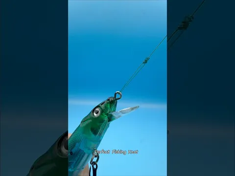 Perfect Fishing Knot #fishing #gtknot #angler