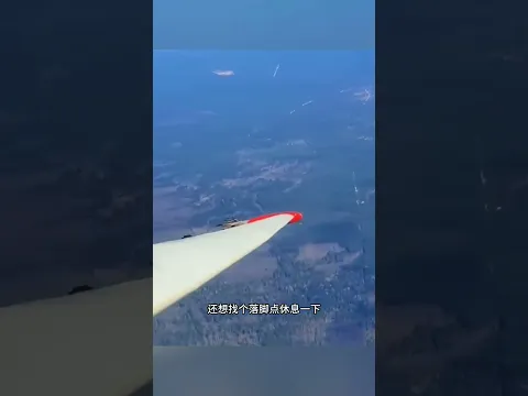飞机头出现凹陷，原来是鸟类惹的祸！ #涨见识 #鸟撞飞机 #硬核