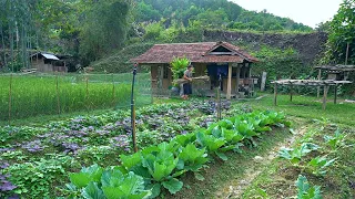 The life of a guy named DAU in the mountains of Northeastern Vietnam - Peaceful life, Forest life