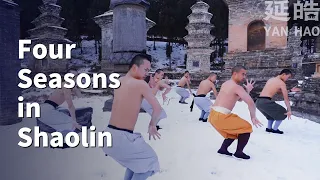 Four Seasons in Shaolin：which one do you most want to arrive? #yanhao #shaolin #kungfu #ufc #karate