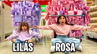 O GRANDE DESAFIO DE COMPRAS COLORIDAS! Quem Gasta Mais Leva Tudo