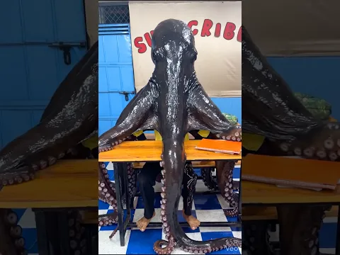 मोनू स्कूल में बना ऑक्टोपस 😨😱ll #shortsfeed #octopus #shorts #school #vikassir #viral