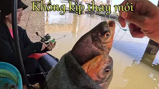 ✅ Mùng 2 tết, dẫn vợ đi câu cá thiên nhiên Sông Sài Gòn, trúng lớn | DUY FISHING