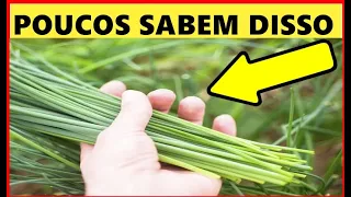 DÊ ADEUS AO DIABETES CONSUMINDO ESTE SIMPLES REMÉDIO NATURAL!