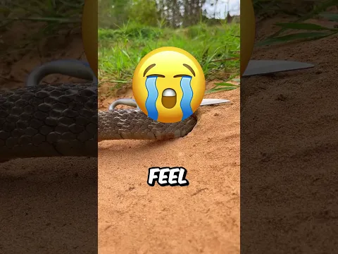 This Snake Trap Is EXTREME🐍😱