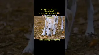 A mother dog who plans and protects her kid|ajmal television|tamil movie explanation