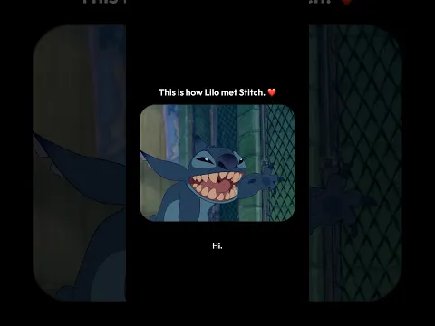Lilo and Stitch first met ❤️