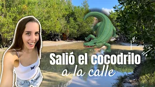 Salió la laguna a la calle en Holbox!! | Beth Oliver M