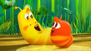COMO O VERMELHO CONHECEU AMARELO! | LARVA | Desenhos animados para crianças | WildBrain em Português