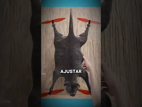 O DESTINO INESPERADO DESSE GATINHO! 🐱😲