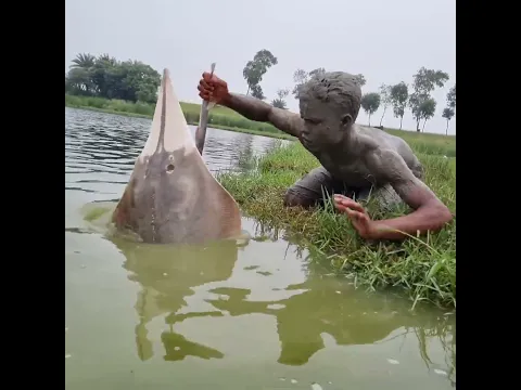 #fish #fishing #video #Mud_man_fishing #short #video #reels #water #river