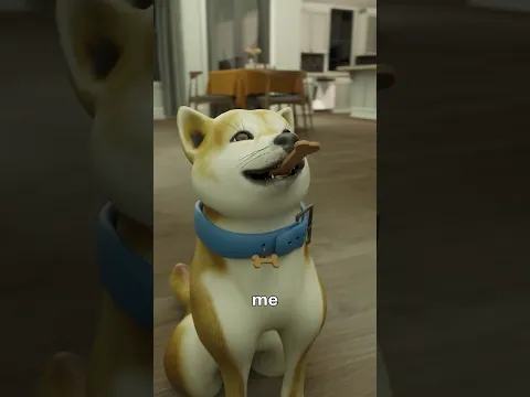 My Dog Wouldn't Stop Barking 🐶
