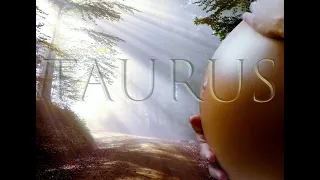 Taurus ~ The Worst is Over, ⚖️ Realignment & an Exciting New Beginning🔥Full Moon Lunar Eclipse