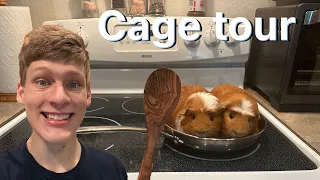 Guinea pig cage tours be like