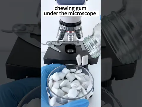 चिंगम under the microscope 😱🔬 #shorts #facts #microscope