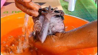 wow! So cold mommy, But Very comfortable after taking a Bath |Animals MT|