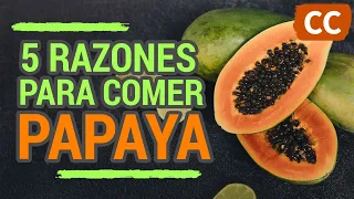 5 RAZONES PARA COMER PAPAYA | Ciencia de la Comida