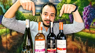 ¿Qué son las cepas de vino? TE LO EXPLICO | Carlos Manuel Torrealba