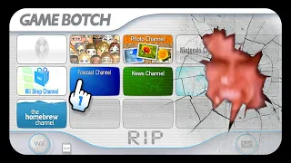 LA FACE CACHÉE DE LA WII
