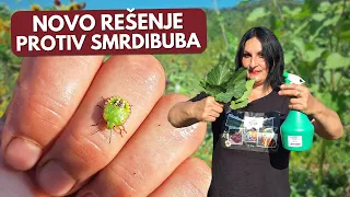 Ovako Sam Se Rešila SMRDIBUBA