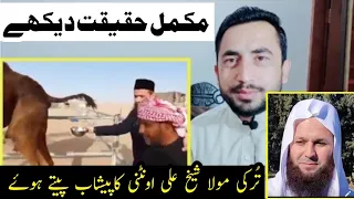 Mola Shiekh Ali Kardistani Ount ka Peshab pete hoye. Complete Reality Junaid Khan Official