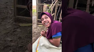 KUMPULAN VIDIO LUCU NGAKAK