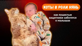 Коты в роли нянь: как пушистые защитники заботятся о малышах