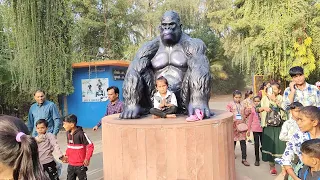 tirupati rushivan adventure park |tirupati rushivan himatnagar