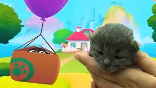 My Talking Tom Friends. My Parody Part# 1. DIY