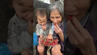 Tổng hợp video về Bà Cụ đáng thương và Cháu Gái 😭😭😭