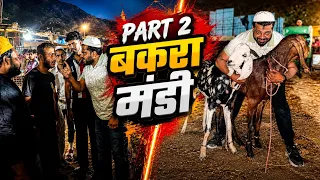 Bakra Mandi Part 2 Galat Ko Jawab Dena Zaroori Hai! 💯 Badtameezi Bardasht Nahi! #sultanshaikh 