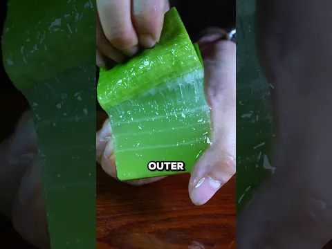 Turning Aloe Vera into Natural Jelly 😲