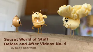 SWS BEFORE AND AFTER Videos N0 4