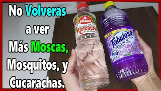 Úsalo en Casa y 10 Minutos Después, no Volverás a Ver más Moscas, Mosquitos o Cucarachas en tu Hogar
