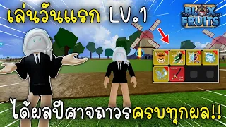 เล่นวันแรก Lv.1 แต่ได้ผลปีศาจถาวรครบทุกผล Blox Fruit Roblox