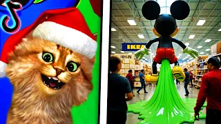 The FUNNIEST TikTok Videos #389 (DON'T LAUGH CHALLENGE 2025)