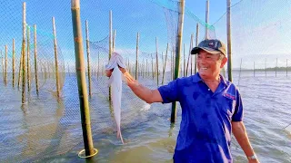 Bao đăng bắt cá khi triều xuống - Phần 9 - Bắt được cá chét, cá rìa, cá nâu...