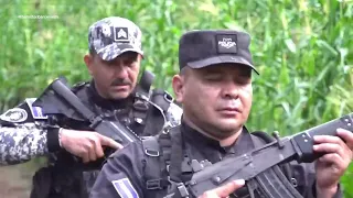 ¡Se acabaron los escondites! Fuerzas élite cazan a los últimos pandilleros