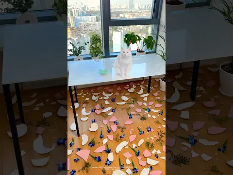 РУГАТЬ ЗА ТАКОЕ? 😱
