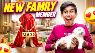 আমাদের নতুন ফ্যামেলি মেম্বার 🐶 MR.MiCO 😍 | NEW FAMILY MEMBER 🐕