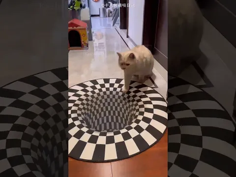 Sorpresa 3D para una gata traviesa 😳🐱