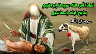 لماذا امر الله النبي ابراهيم بذبـ ـح ابنه اسماعيل ؟ ومن أين جاء الكبش الذى ذبحـ.ـه ؟ قصة تبكى القلوب