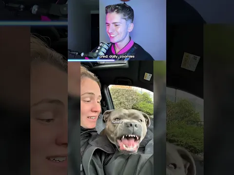 Never Say Your Dog’s Favorite Word