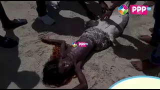 A Video of Real Mermaid Spotted in Ukunda Diani!/Watu Washindwa Kuelewa!